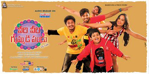 Veeri Veeri Gummadi Pandu Movie Wallpapers